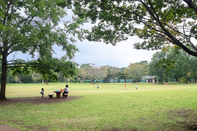 「区立柏の宮公園」の芝生広場