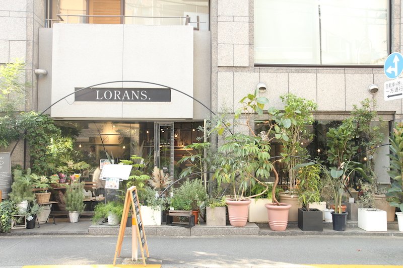 ローランズ(LORANS.)原宿店　