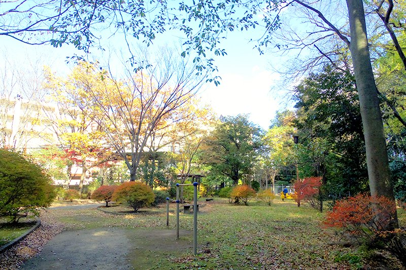 秋津公園