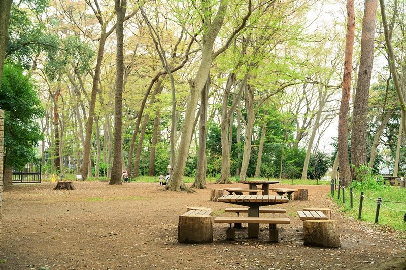 三井の森公園