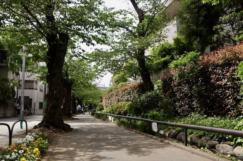 お花見スポットとしても親しまれる「世田谷区立北沢川緑道」