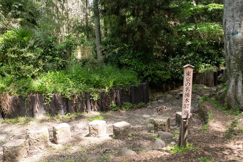 「黒目川天神社」周辺の様子