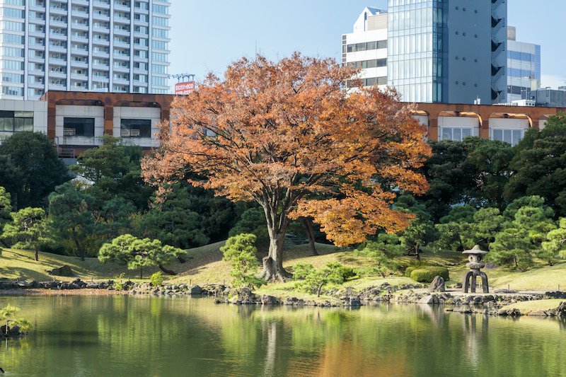 「旧芝離宮恩賜庭園」