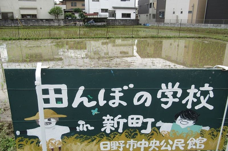 田んぼの学校