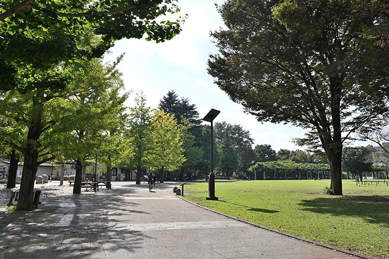 桜の名所としても知られる「都立武蔵国分寺公園」