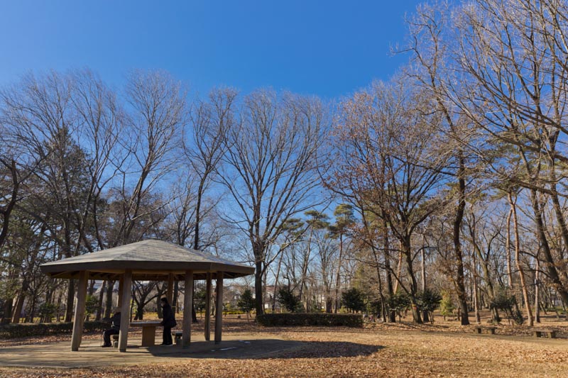 自然豊かな「都立東村山中央公園」