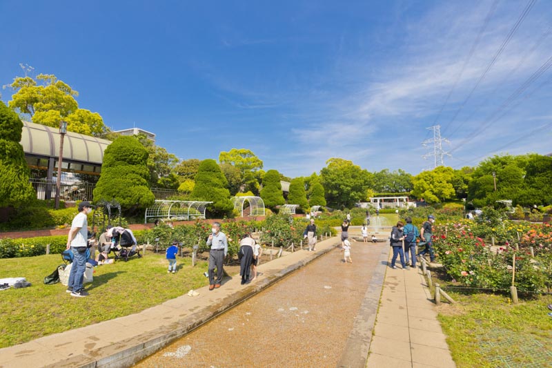 美しいバラ園もある「総合レクリエーション公園」