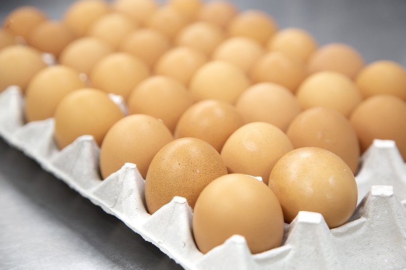 使用する卵はすべてブランド卵の「那須御養卵」