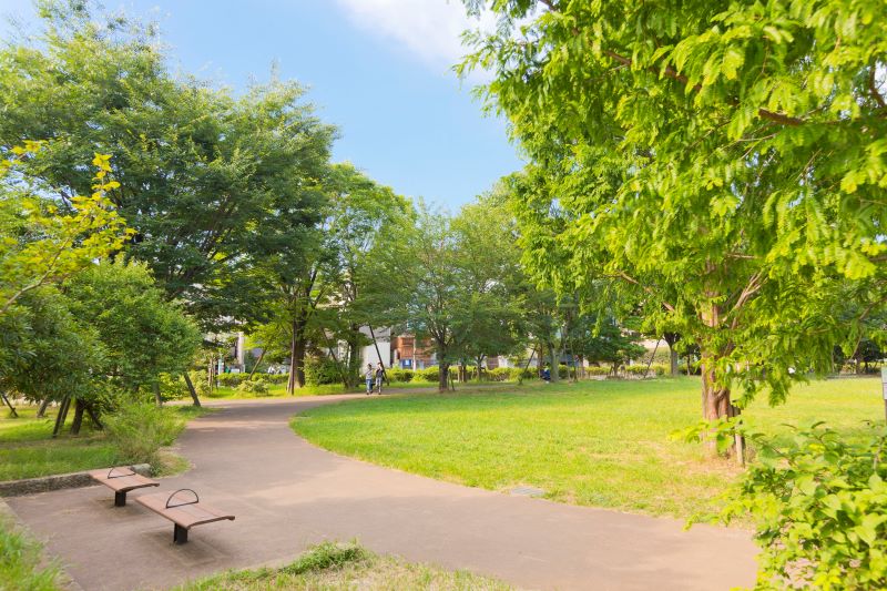 開放的な広場が心地よい「中村かしわ公園」