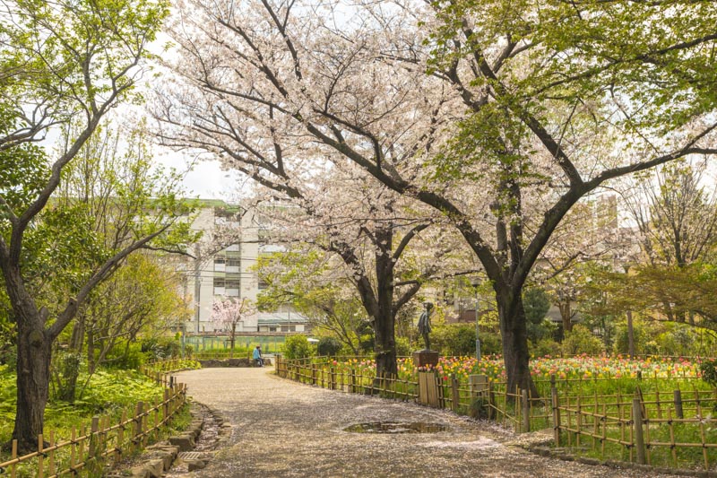 四季の花を楽しめる「柳原千草園」