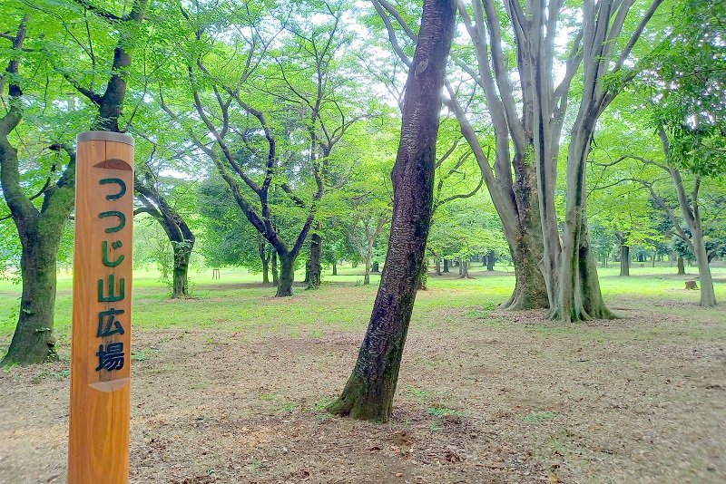 「小金井公園」の「つつじ山広場」 