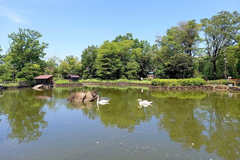 「荒川自然公園」