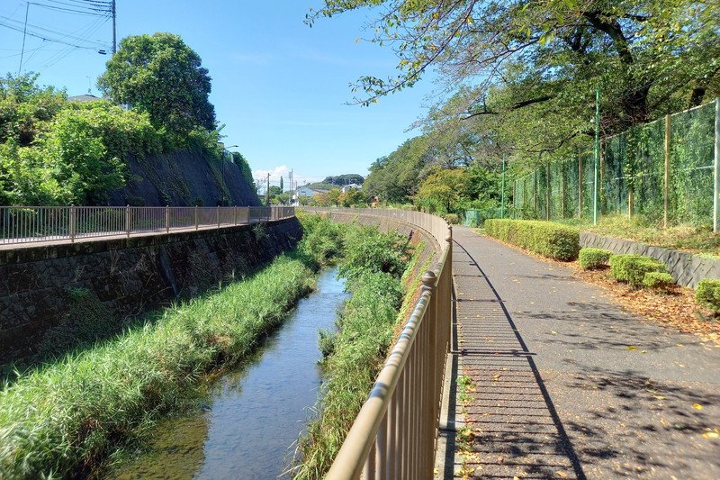 恩田川沿い