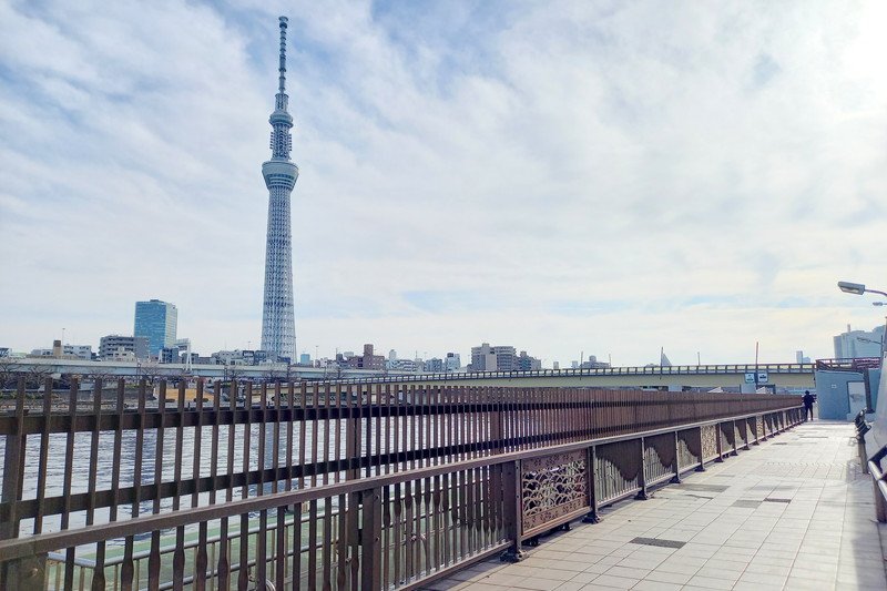 桜橋付近の遊歩道 