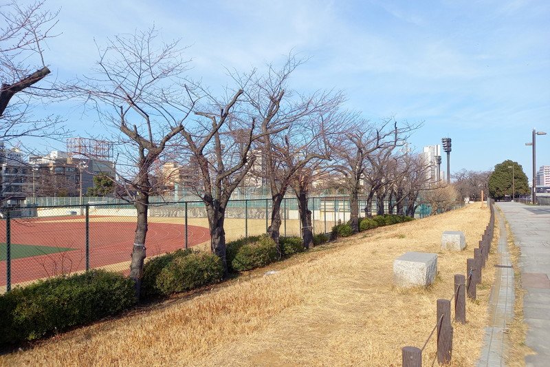 「隅田公園」