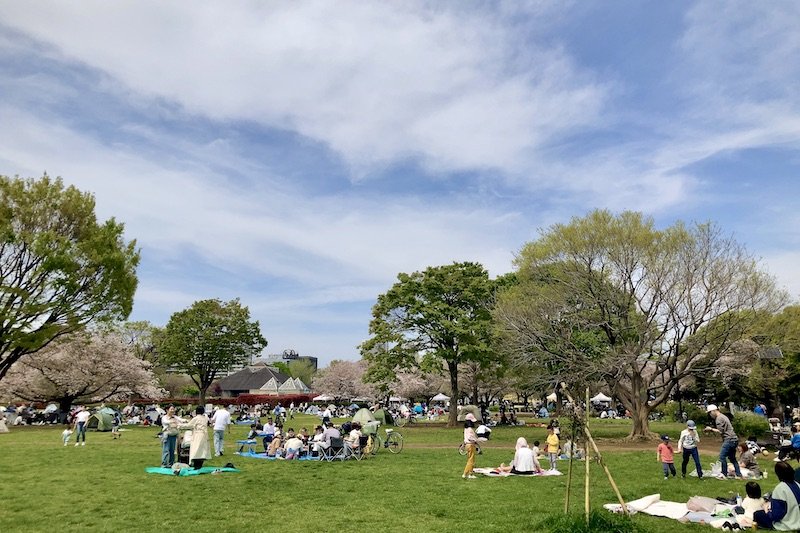 「木場公園」の芝生広場