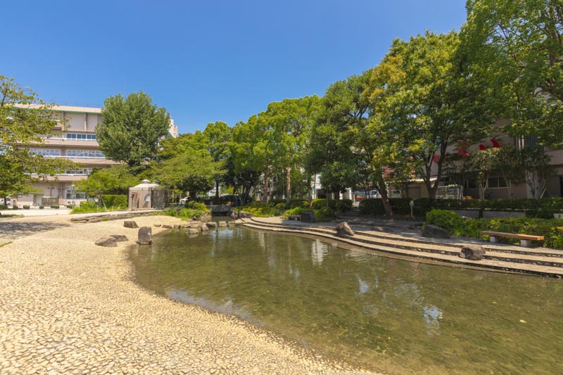 小松川境川親水公園（本一色周辺）