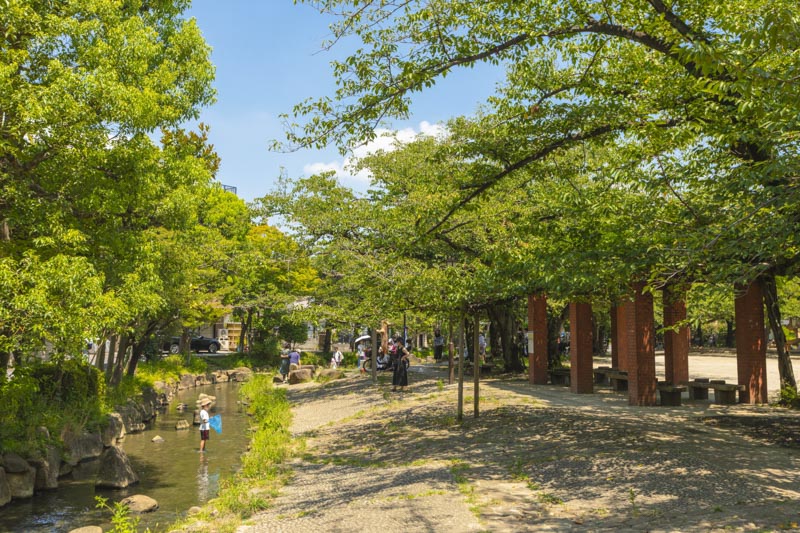 中央森林公園