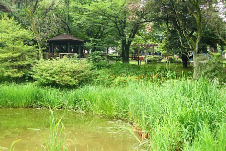 藤が丘公園