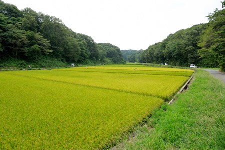 寺家ふるさと村