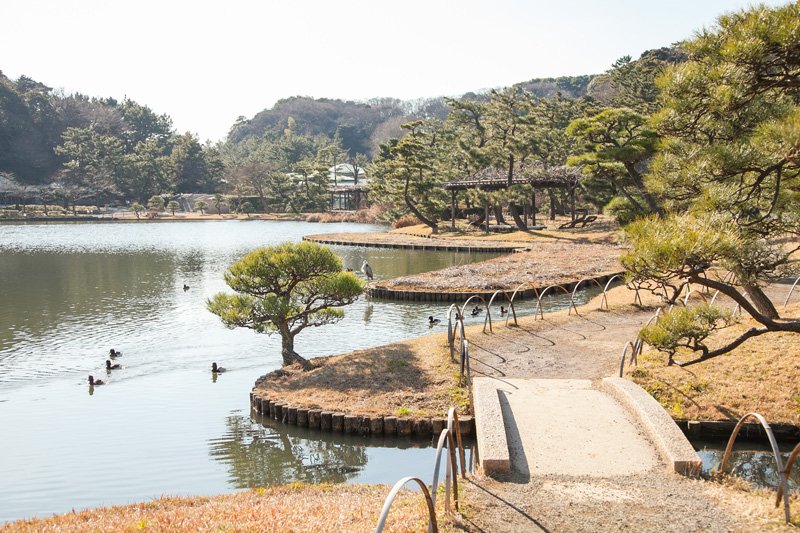 日本庭園が美しい「三渓園」