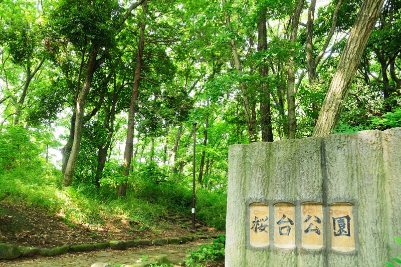 桜台公園