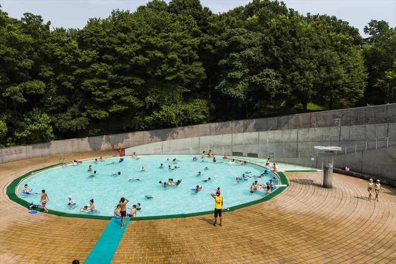 夏にはプールも開かれる「茅ヶ崎公園」