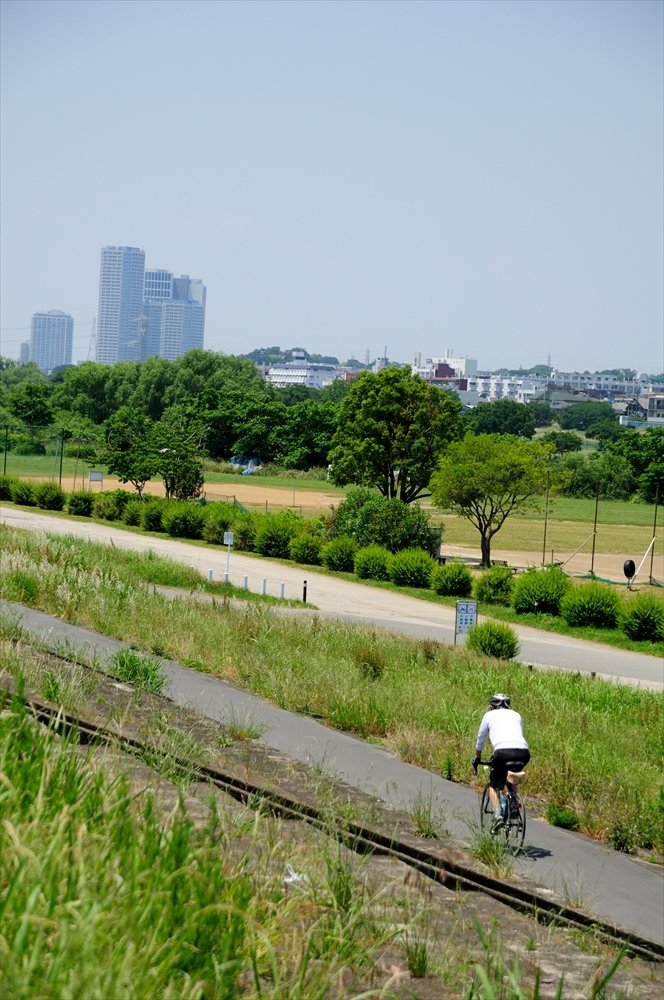 多摩川沿いのサイクリングコース