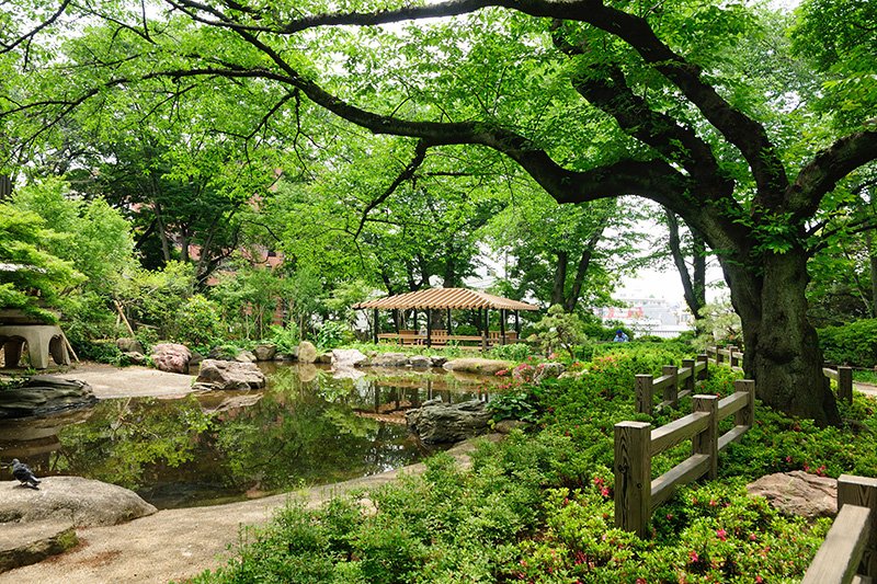 和の草木が印象深い風景を造り出す日本庭園