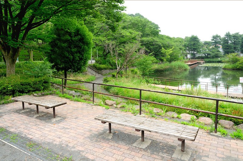 もえぎ野公園