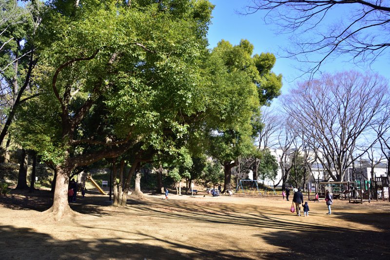 緑の中で遊べる「宮崎第四公園」