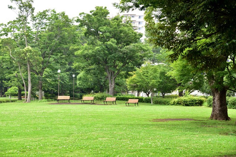 「横浜ドリームランド」跡地に整備された「俣野公園」