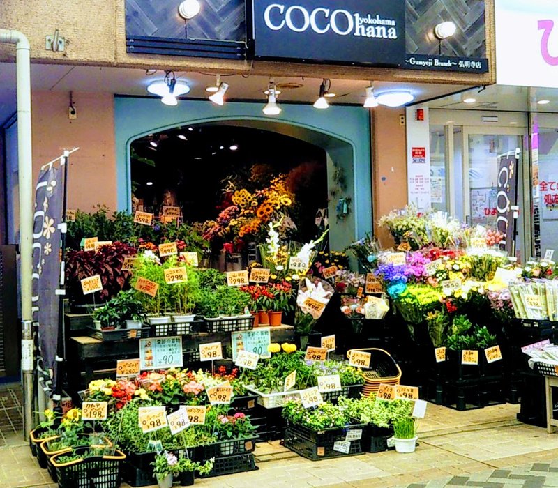 COCOhana 弘明寺店