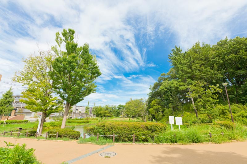 豊かな緑を楽しめる「桜台公園」