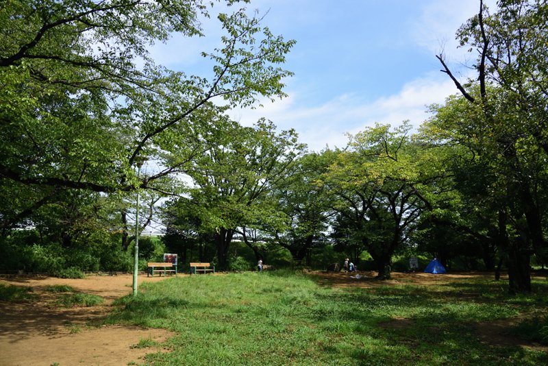 自然いっぱいの「稲田公園」