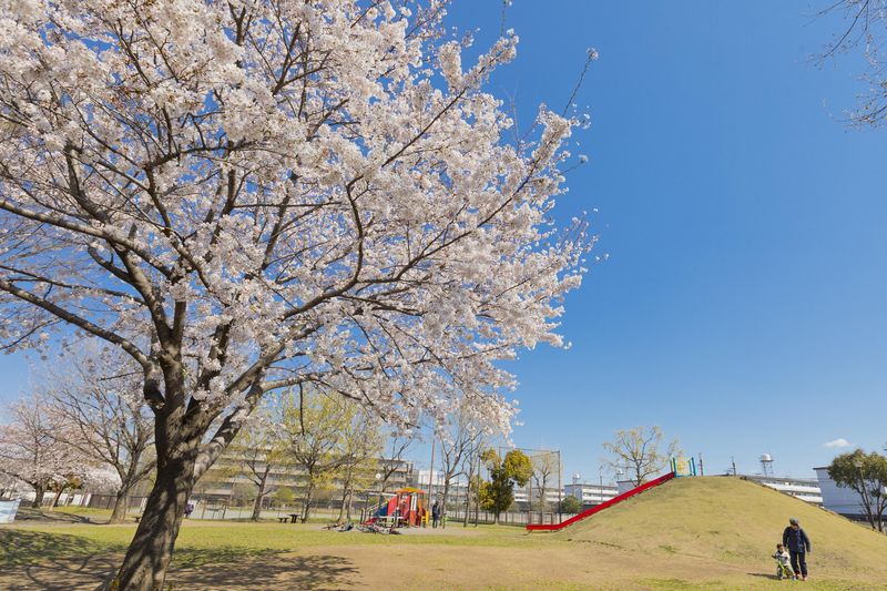 子どもがのびのび遊べる「新鶴見公園」