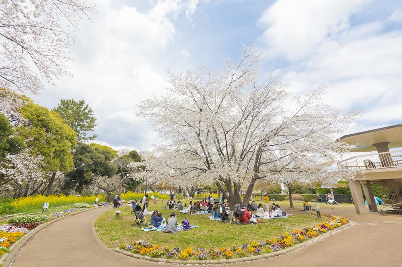 春には桜が咲き花見も楽しめる