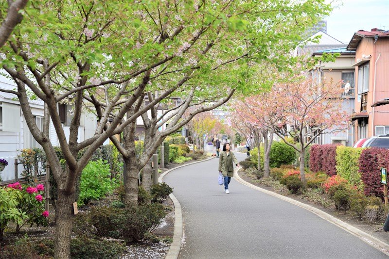 桜をはじめ季節の草木を楽しめる「さくら百華の道」