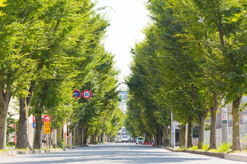 あこがれの多摩田園都市の中心地、横浜市青葉区美しが丘