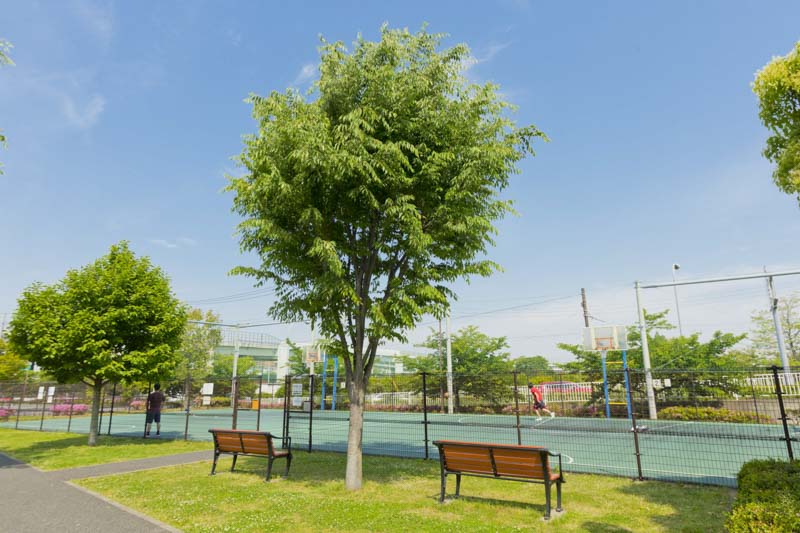 緑の中でスポーツを楽しめる「谷本公園」