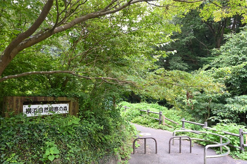 横浜自然観察の森