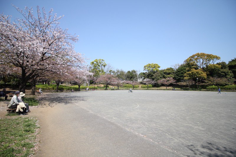 港南台北公園・こどもログハウス どんぐりハウス