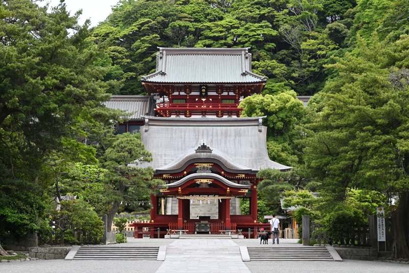 鎌倉幕府を創建した初代将軍・源頼朝ゆかりの神社として知られる「鶴岡八幡宮」