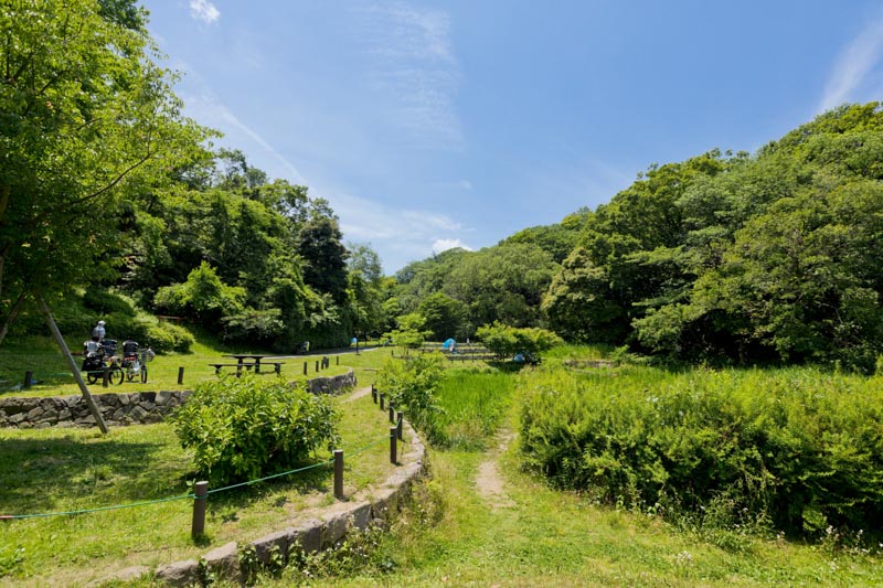 ホッとするような棚田の風景