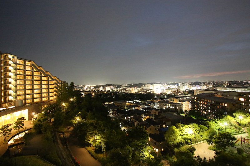 丘の上から望む夜景