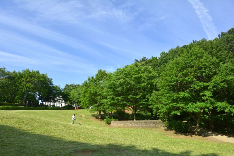 茅ケ崎公園
