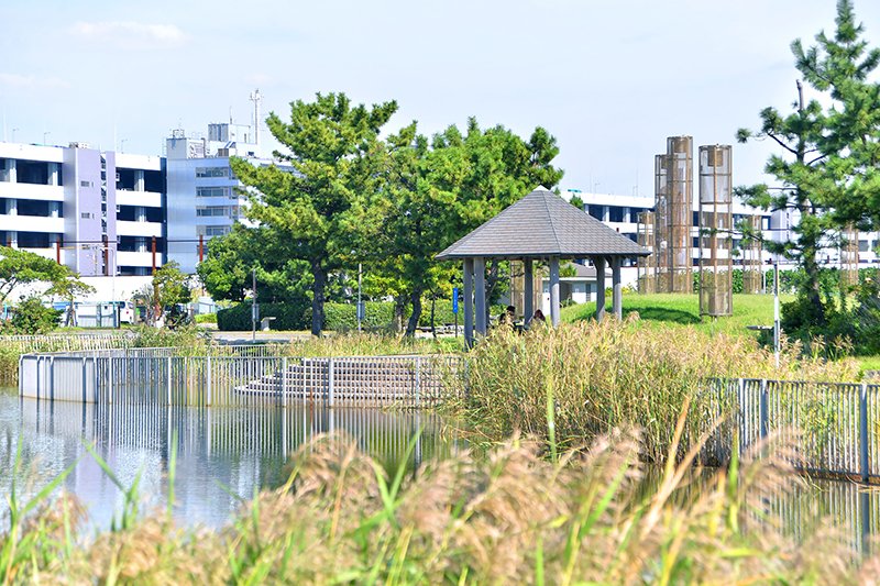 大黒ふ頭海釣り公園