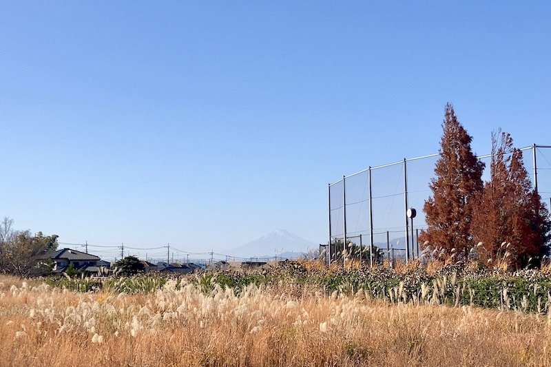 「中田中央公園」