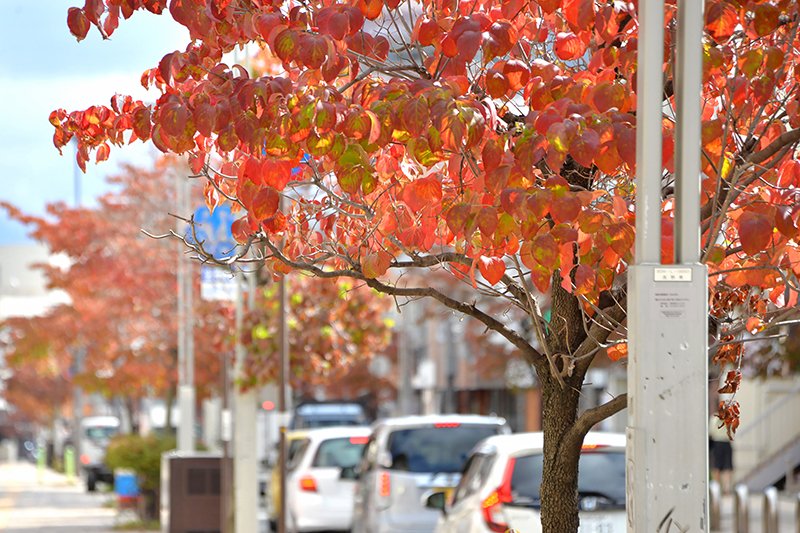 北石堂町商店街