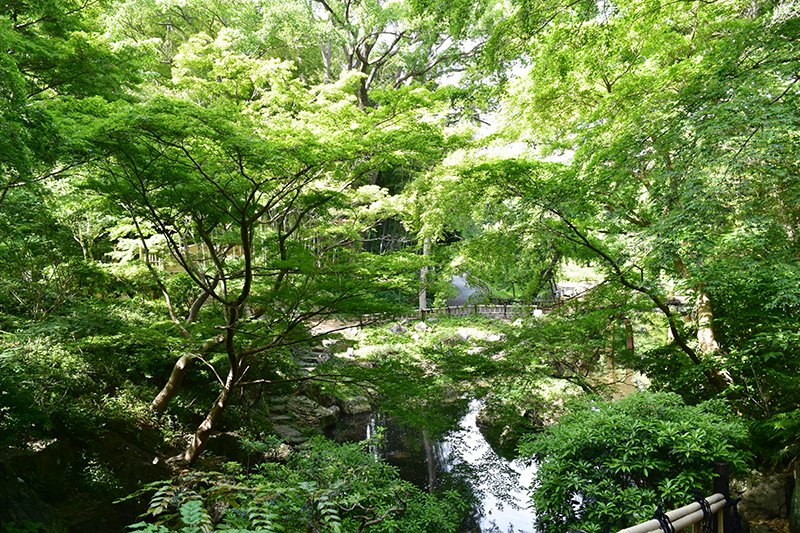 「浜松城公園」は日本庭園も見応えある